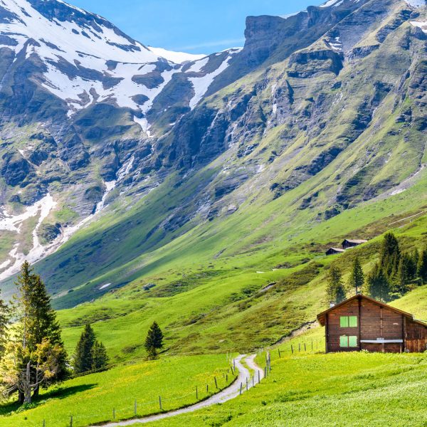 With comfortable hotels, scenic train rides covered by the Swiss Travel Pass, and the freedom to explore at your own pace, this tour promises a truly memorable experience through the heart of Switzerland.