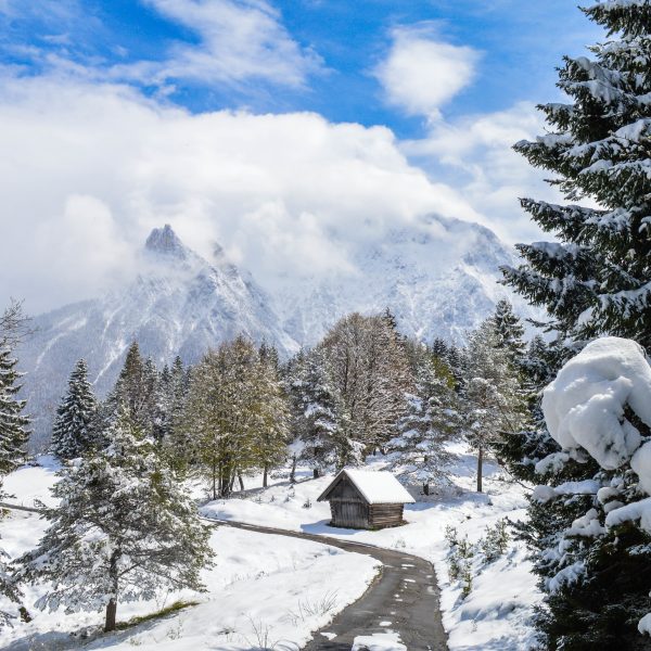 Delhi – Shimla – Kullu – Manali